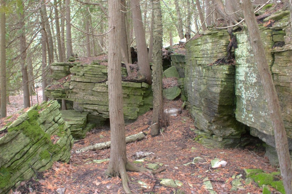 Along the Ice Age Trail at Potawatomi State Park