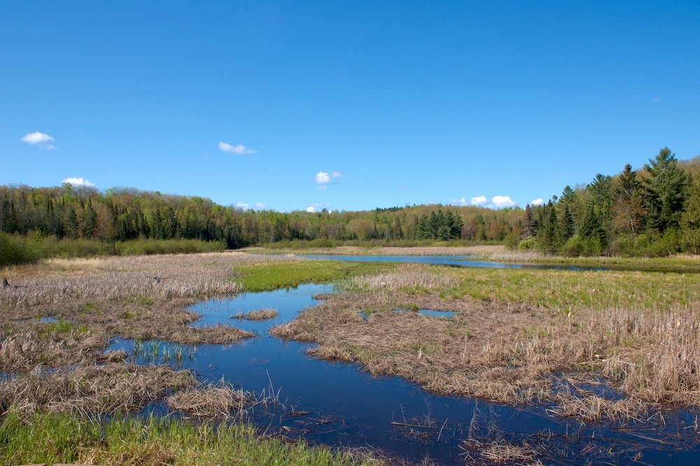 Interfalls Lake at Pattison State Park