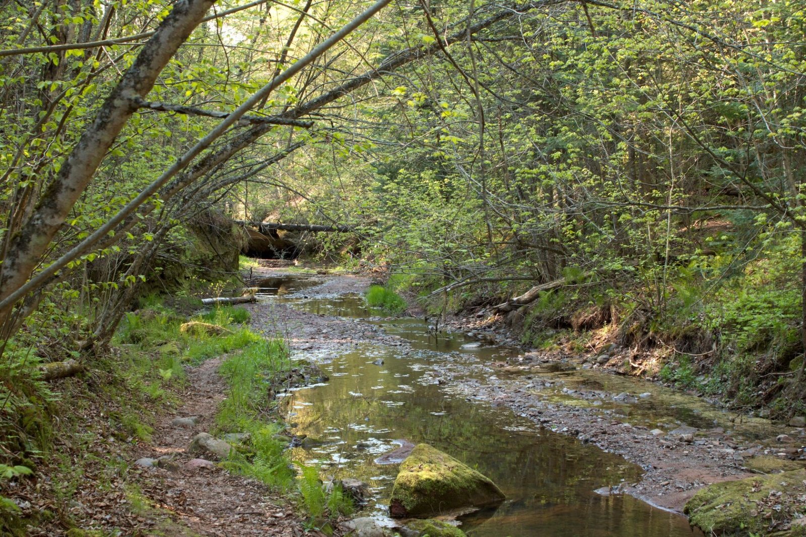 8 Best Hikes in Northern Wisconsin