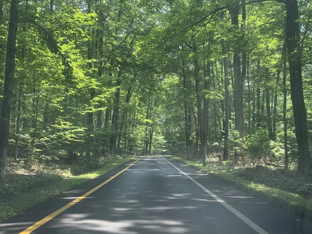 Scenic Drive at Sleeping Bear Dunes