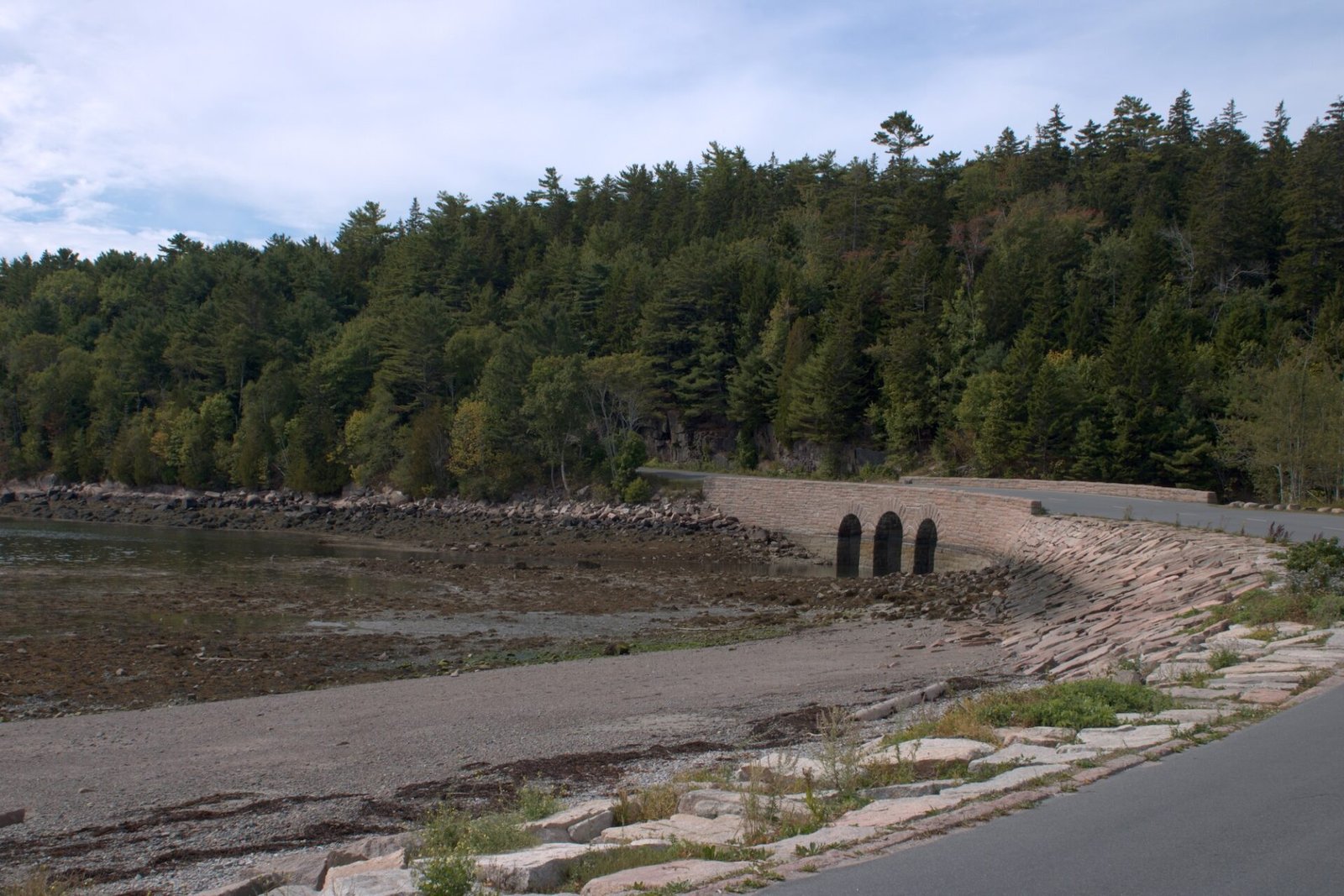 11 Great Stops on Park Loop Road at Acadia National Park