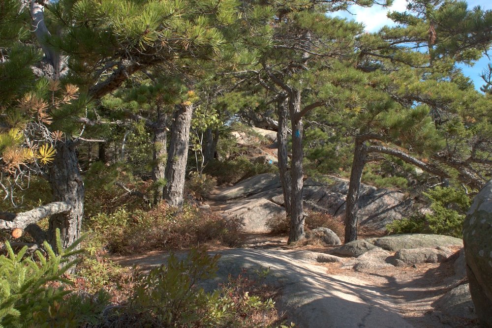 Beehive Trail at Acadia National Park