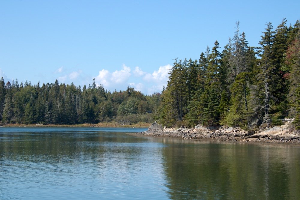 Ship Harbor Trail at Acadia National Park