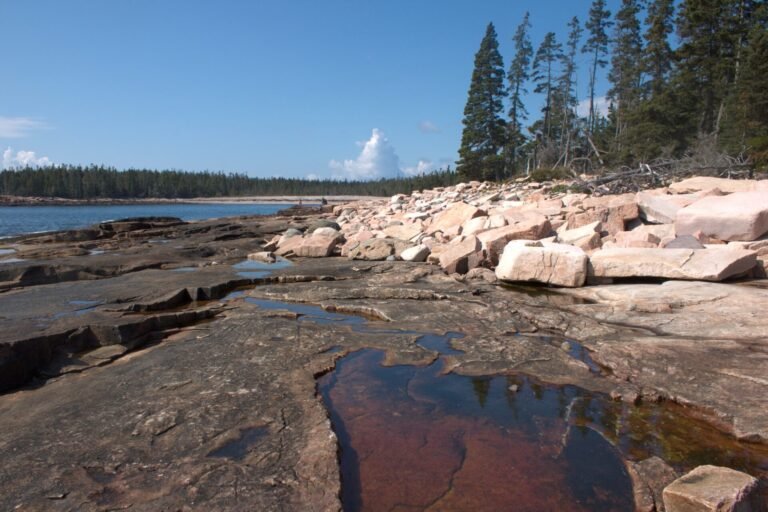 Coastline on the Wonderland Trail at Acadia National Park