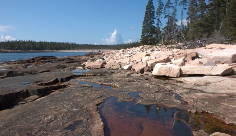 Coastline on the Wonderland Trail at Acadia National Park
