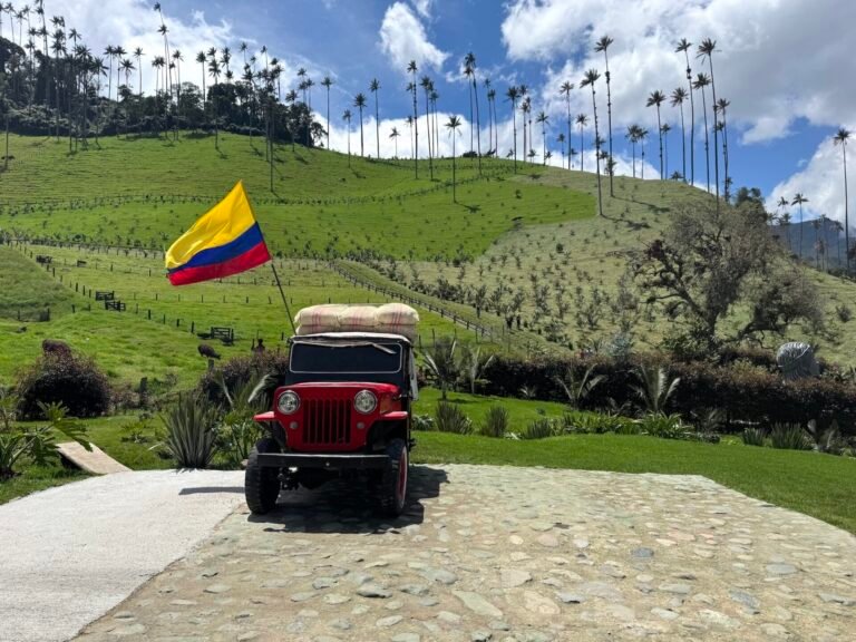 Willy surrounded by the tall palm trees in the Cocora Valley