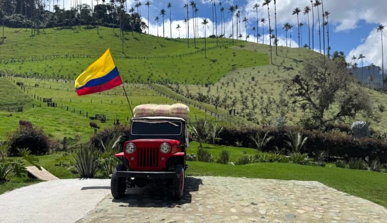 Willy surrounded by the tall palm trees in the Cocora Valley