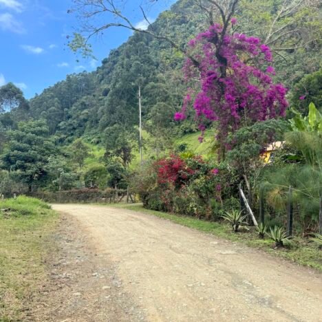 What to Expect on a Tour of Cueva del Esplendor