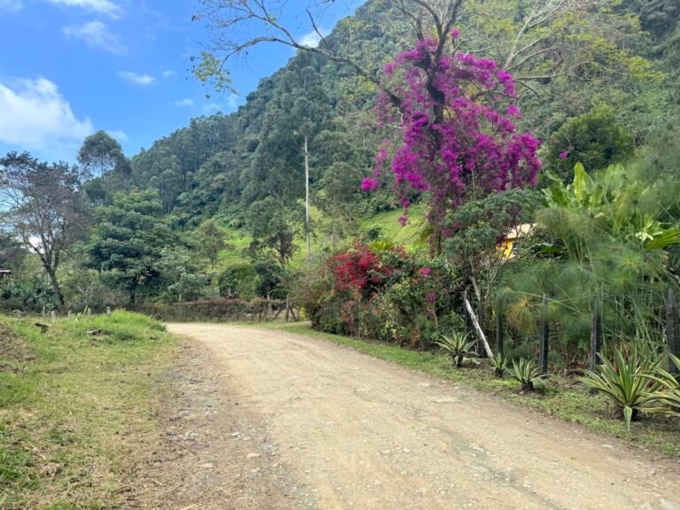 Along a hiking trail in Jardin, Colombia