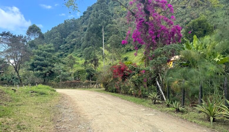 Along a hiking trail in Jardin, Colombia