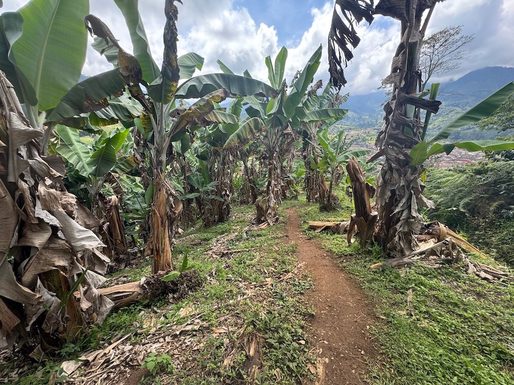 Along a trail in Jardin, Colombia