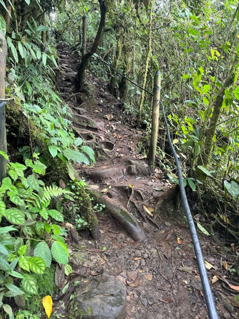 The trail to Cueva del Esplendor