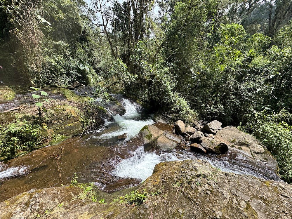 River along the trail to Cueva del Esplendor