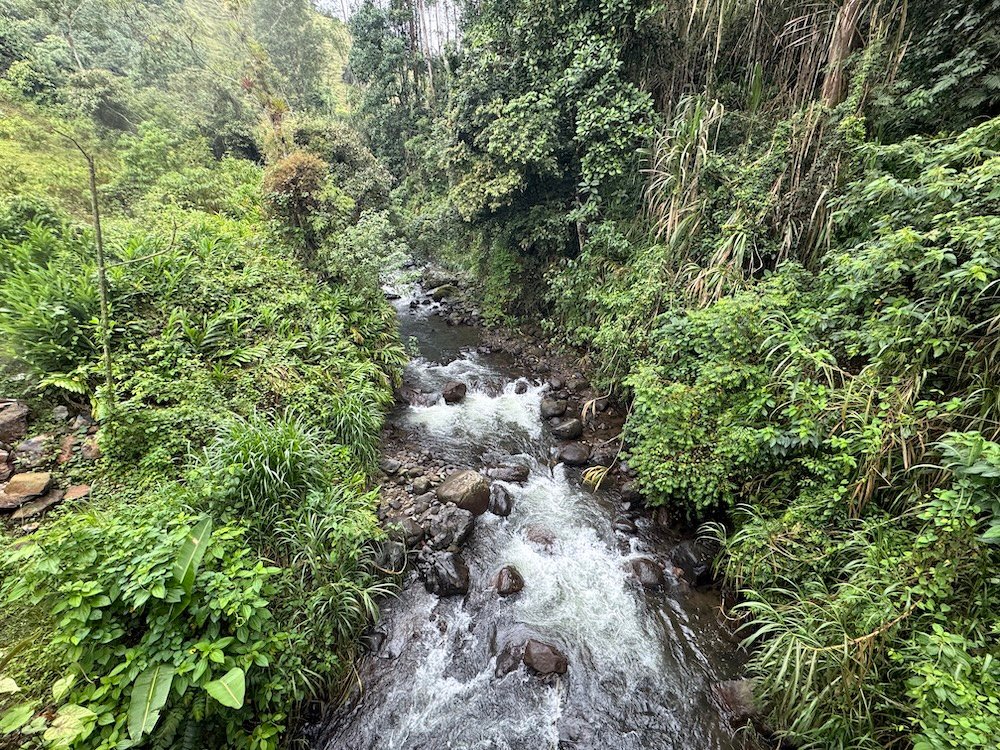 A stream along Sendero Hospital in Jardin, Colombia