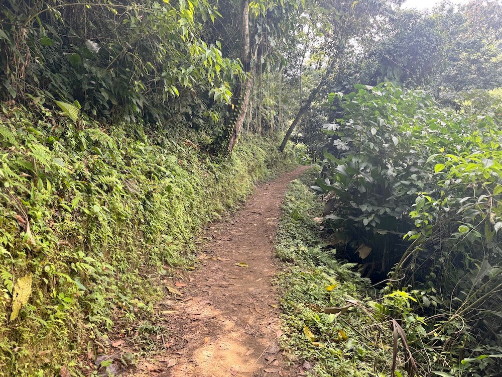 Trail on the Lost City Trek