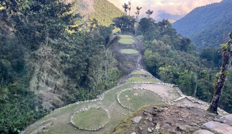 Terraces of Colombia's Lost City