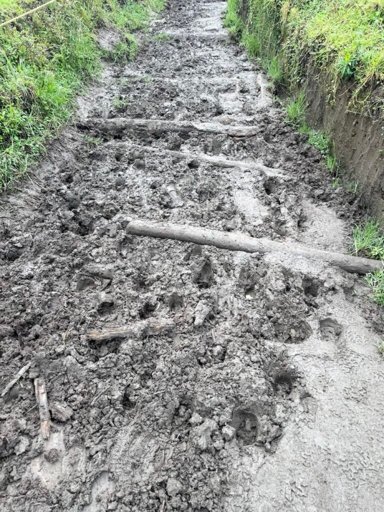 Mud on the Cocora Valley Trek