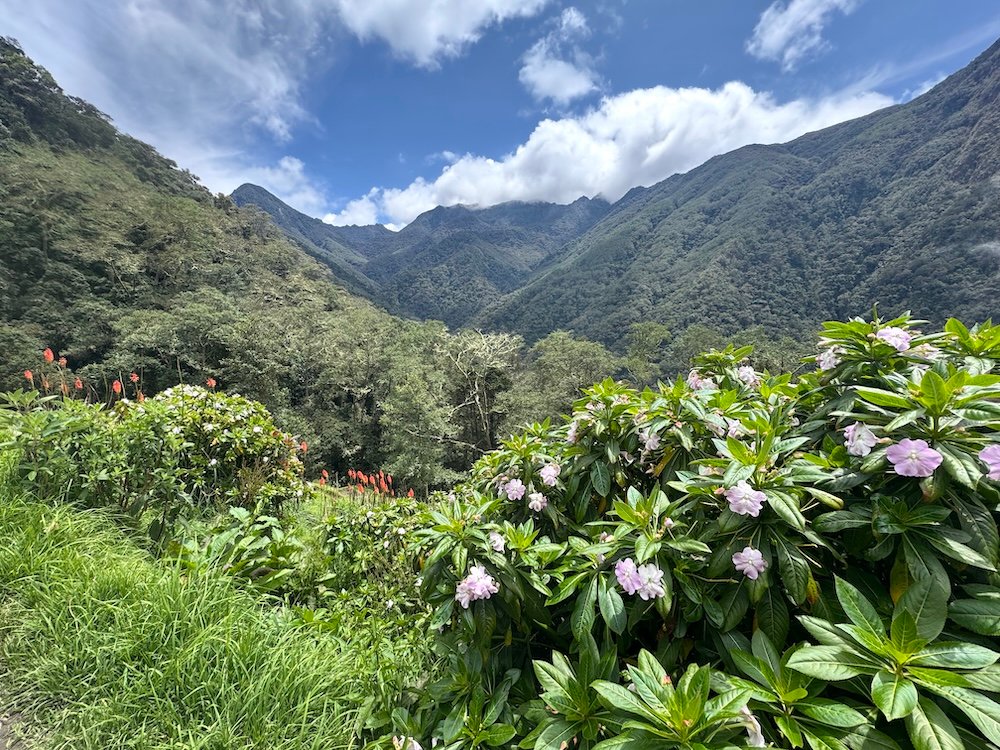 View from the Highest Point on the Cocora Valley Trek