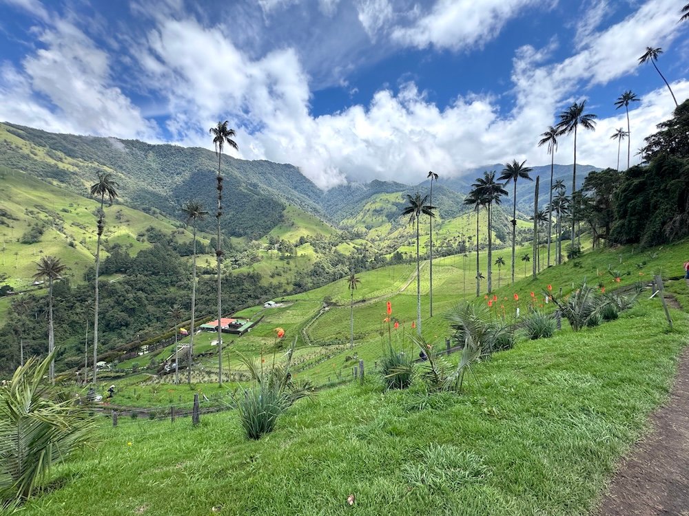 Views on the Cocora Valley Trek
