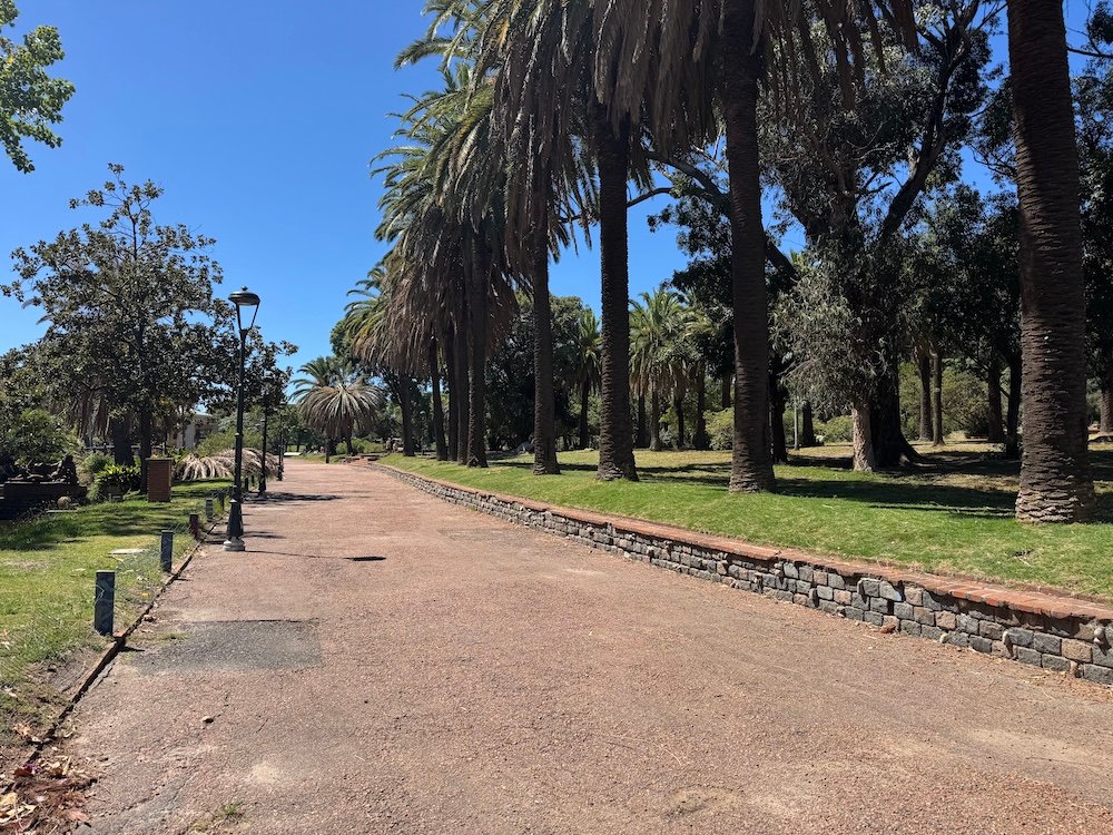 A path lined with palm trees in Parque Rodo