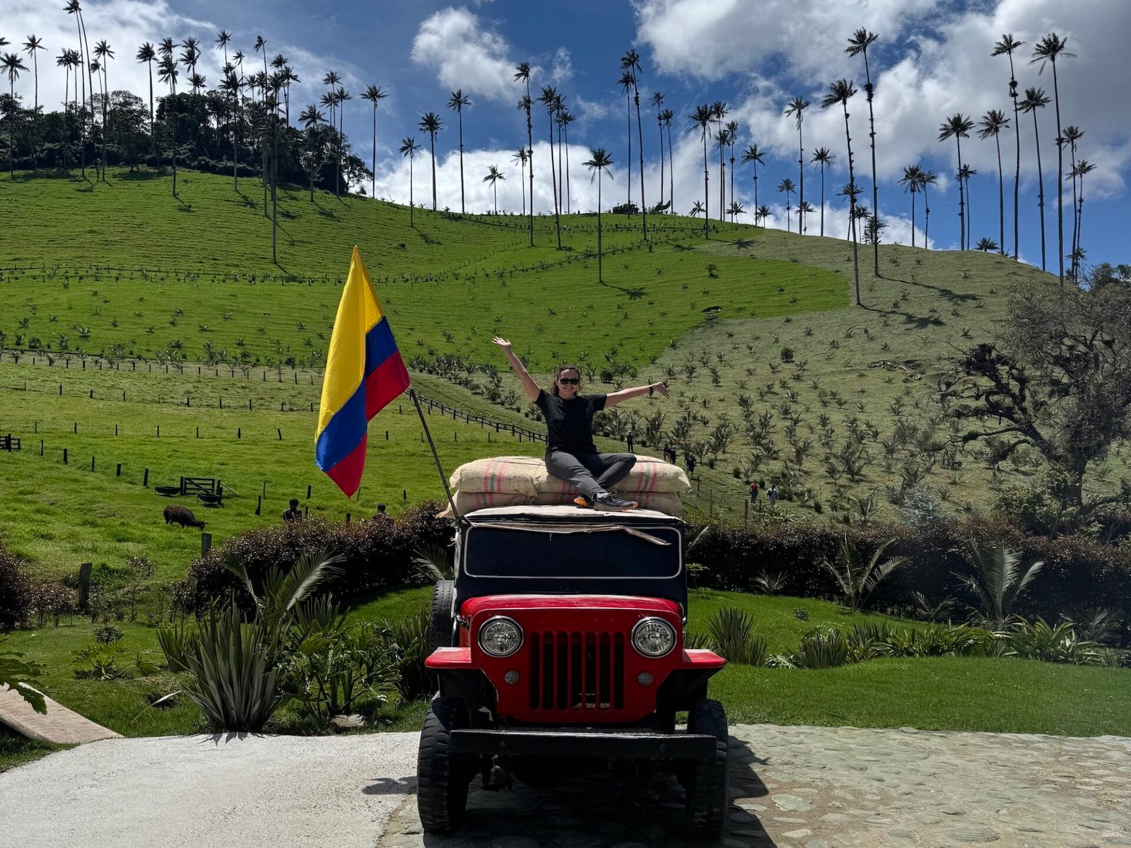 Author in the Cocora Valley