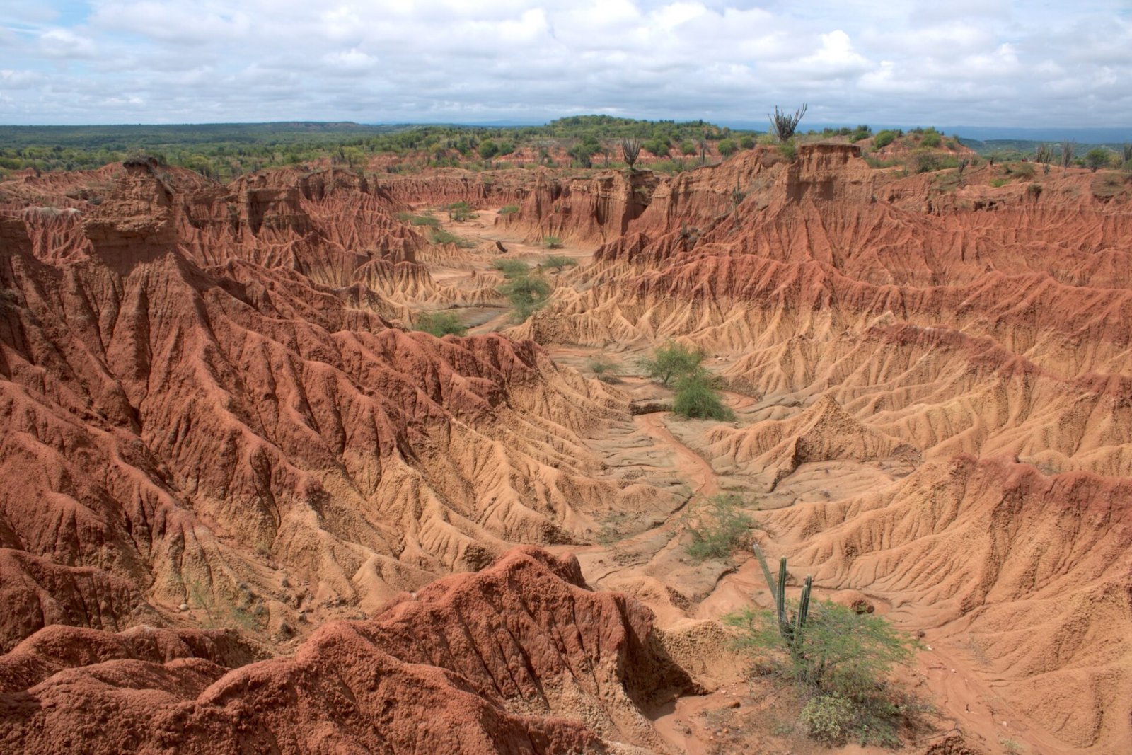 Red Desert in the Tatacoa Desert in Colombia