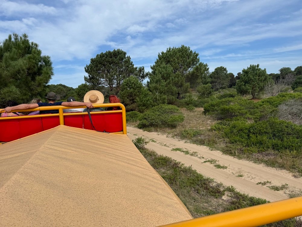 View from the top of the truck to Cabo Polonio