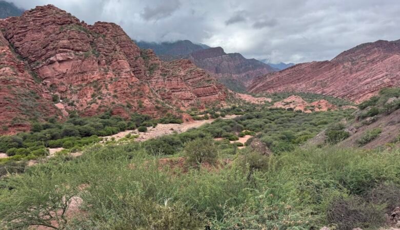 View along the highway to Cafayate featuring red mountains