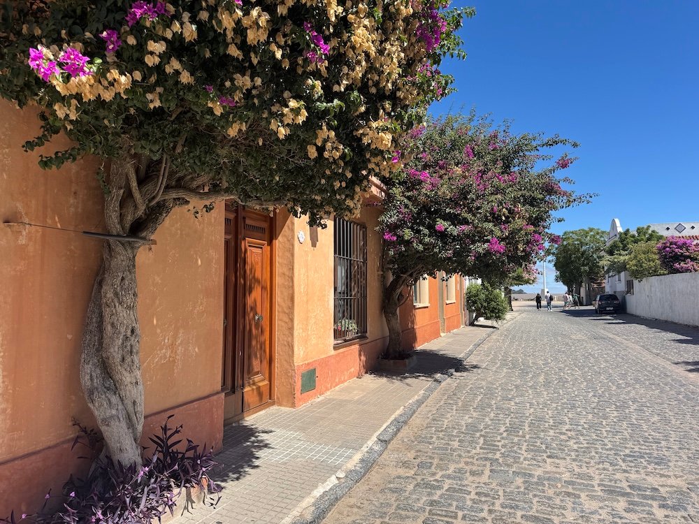 Flowers along an orange building in Colonia del Sacramento