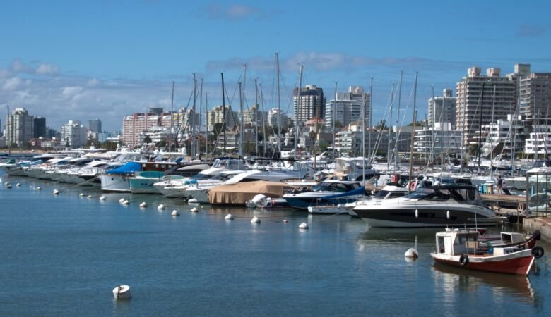 Large boats in the foreground with skyscrapers in the background