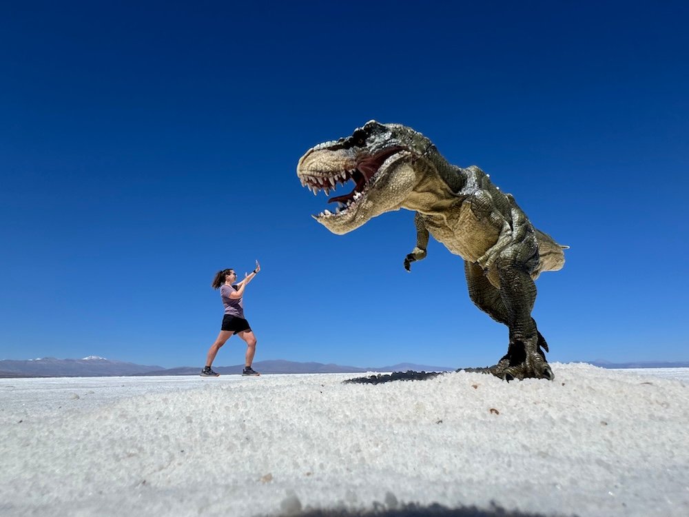 Optical illusion featuring a dinosaur and a human on the Salinas Grandes Salt Flats