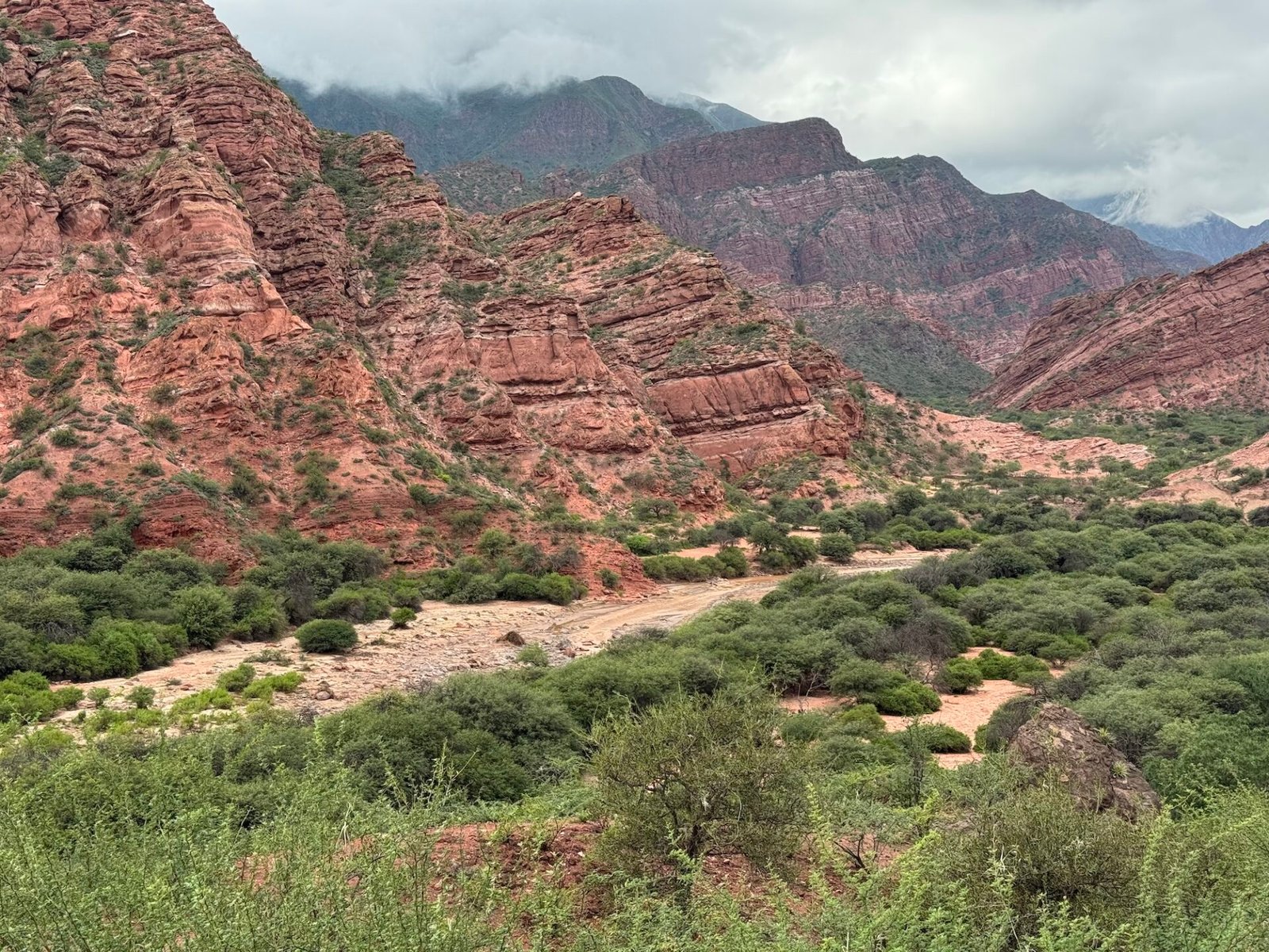 Red rocks and green shrubbery lining the highway to Cafayate