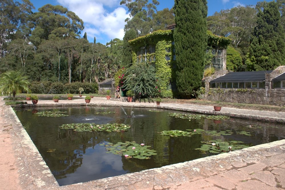 Tall greenhouse with a reflecting pool with lilypads