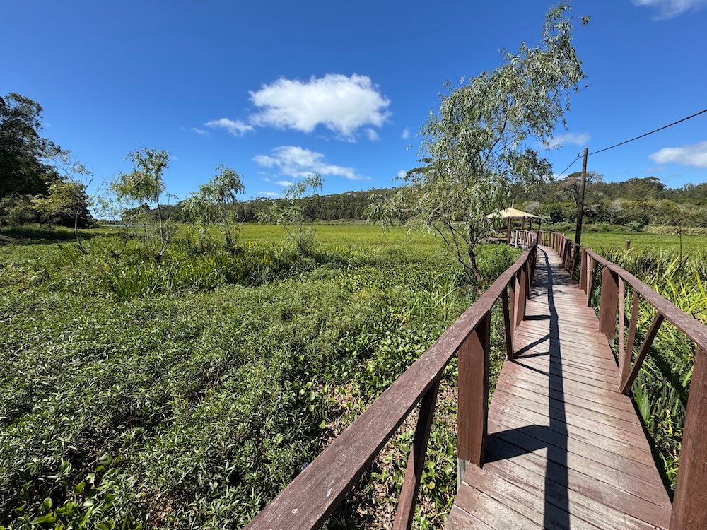 An elevated walking path through the grass