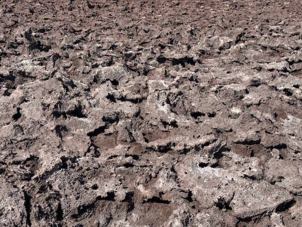 Close up of the ground near Baltinache