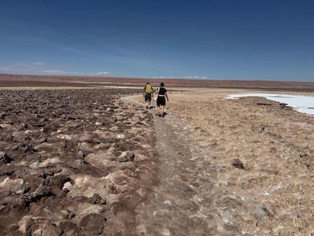 Trail leading through the Baltinache Lagoons