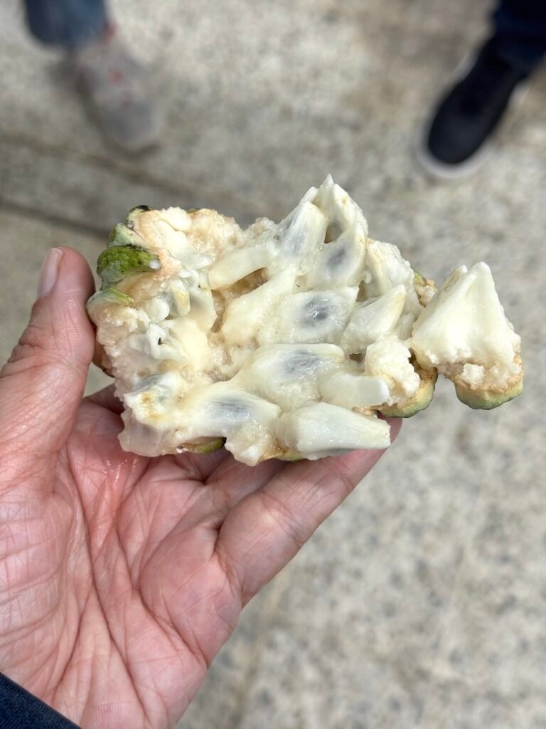Exotic Fruit
