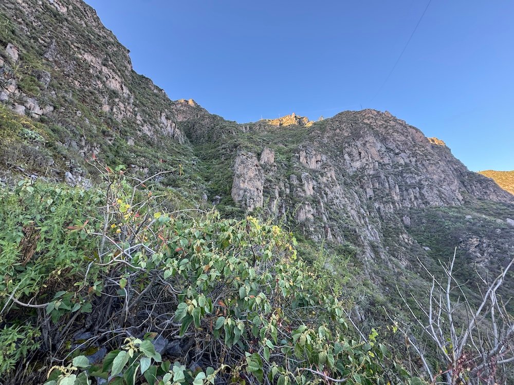 Looking up toward the rim of the Colca Canyon