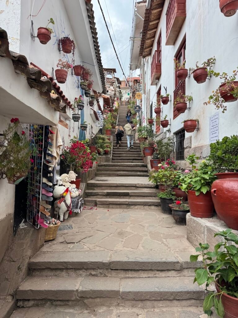 Alley decorated with plants in Cusco