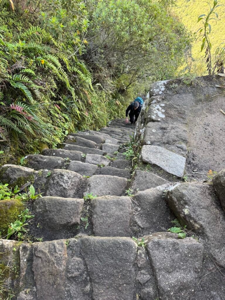 Steep steps leading from Huayna Picchu