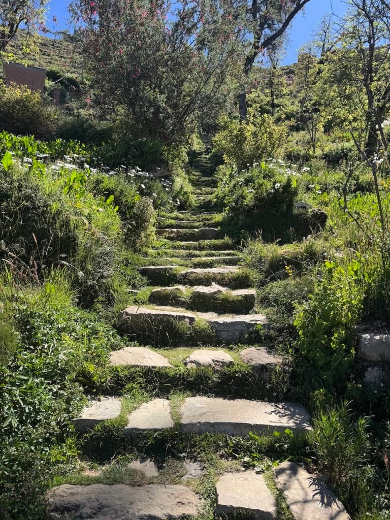 Inca stairs leading from the boat dock on Isla del Sol