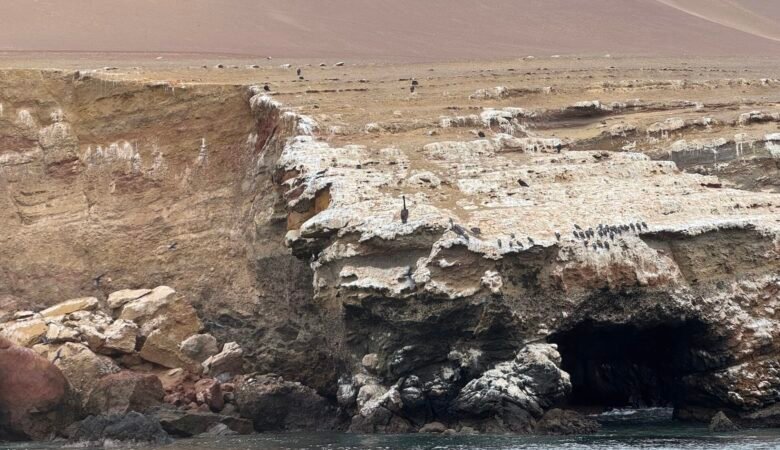 Rock formations and birds on the Las Ballestas Islands