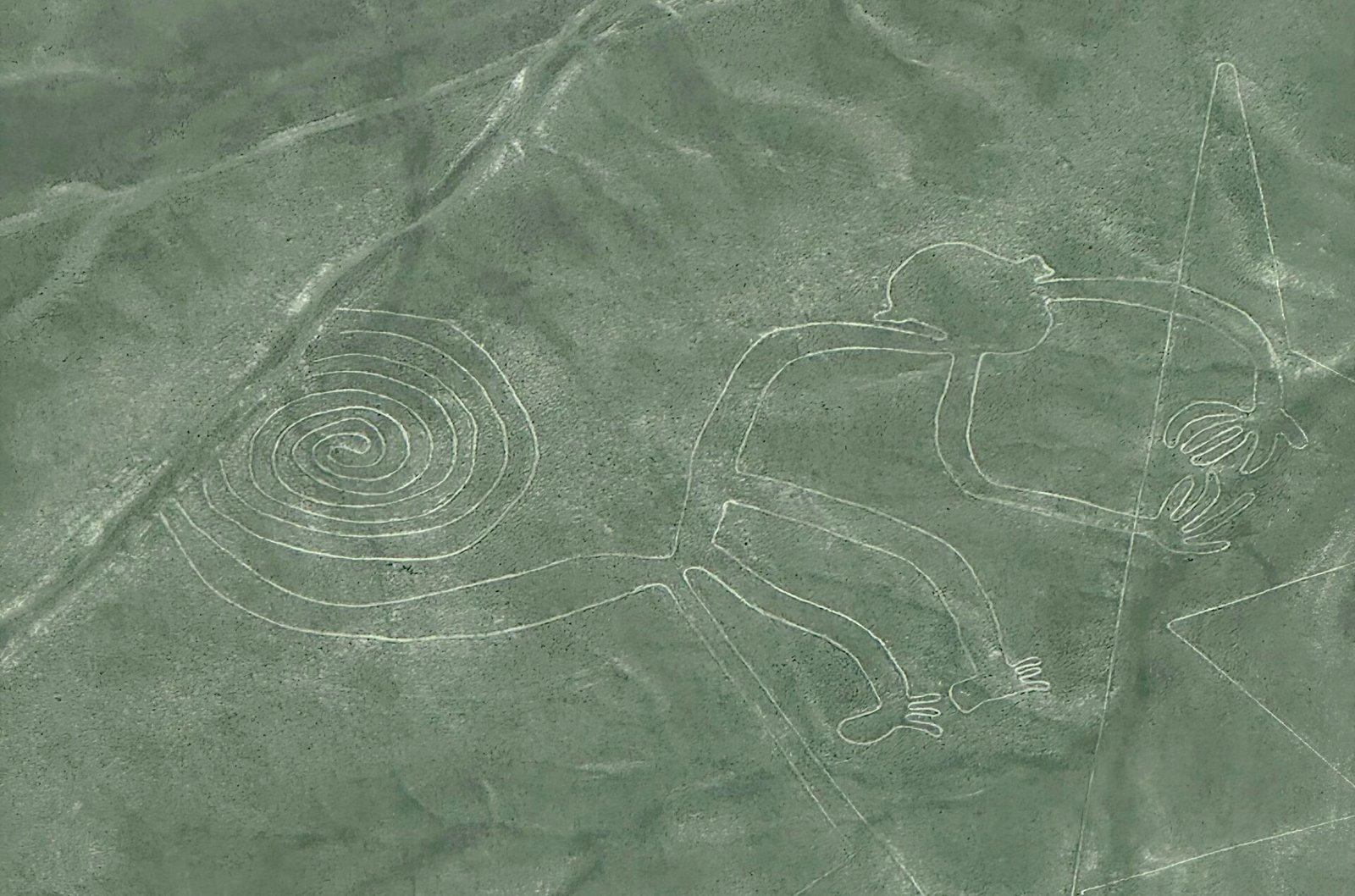 Monkey geoglyph as seen from a Nazca Lines flight