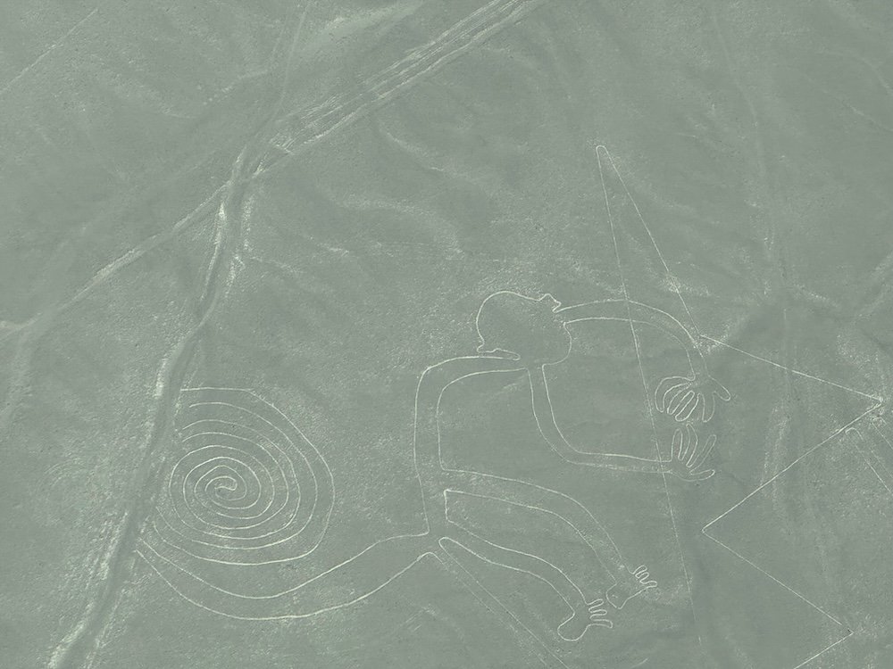 Monkey Nazca Line