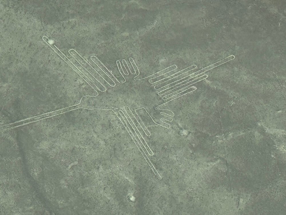 Hummingbird Nazca Line