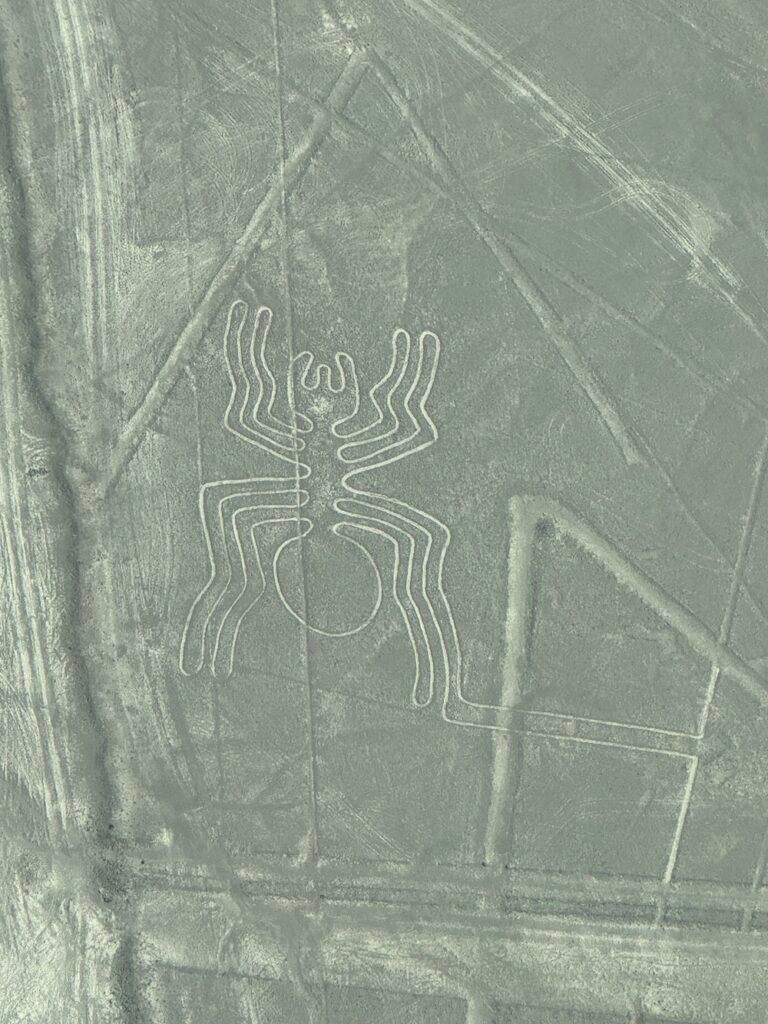 Spider Nazca Line