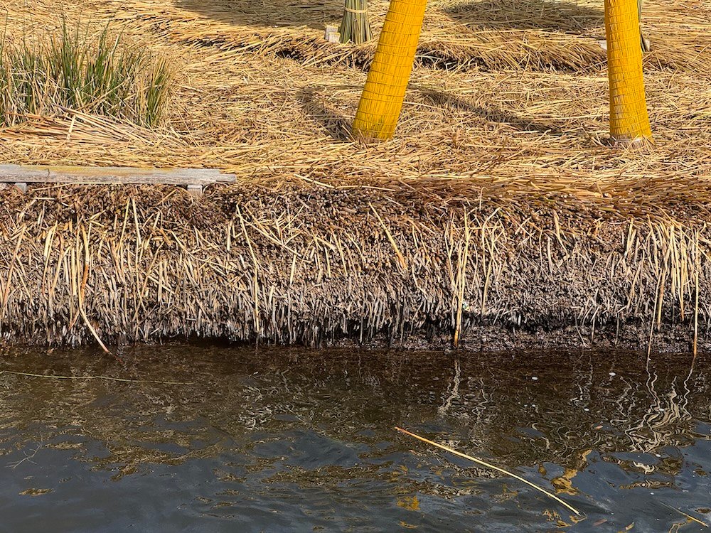 Reed making up floating islands in Uros