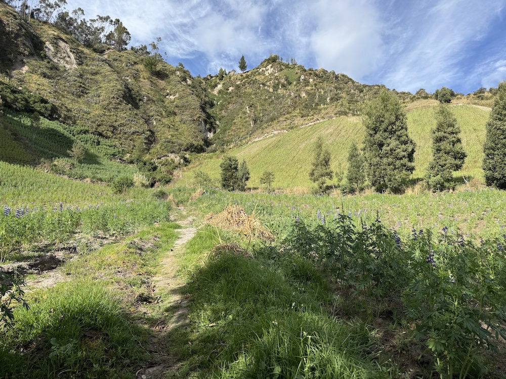 Trail between Chugchilan and Quilotoa