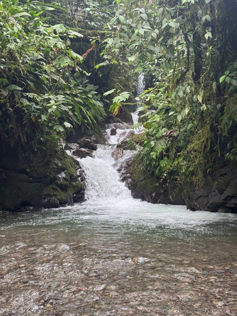 Cascada Guarumos