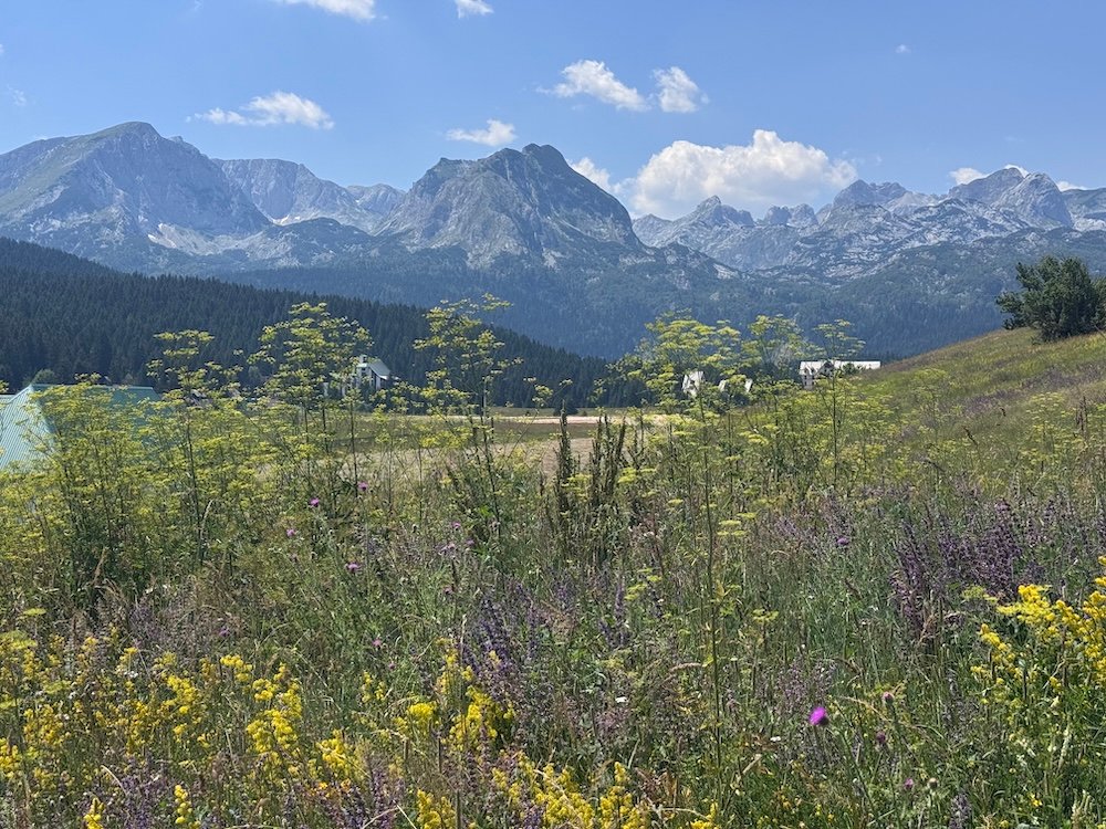 Mountain views from the town of Zabljak
